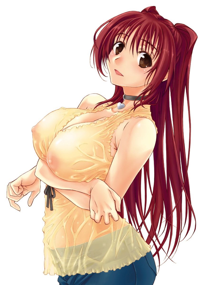 【二次】おっぱいがエロく強調された服を着てるエロ画像 その1